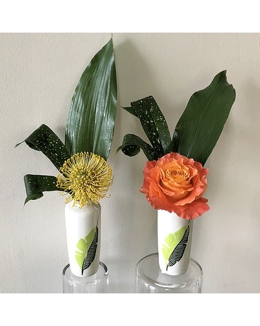 Orange BiColor Rose size, inches height and inches wide.