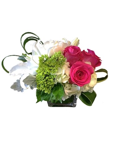 Luxurious size, inches height and inches wide.