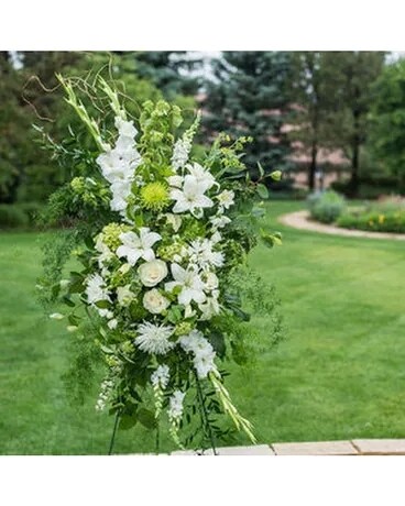 Premium (As Shown) size, inches height and inches wide.