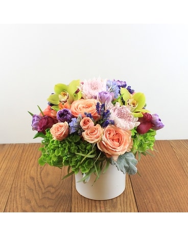 Classic size, 14 inches height and 14 inches wide.