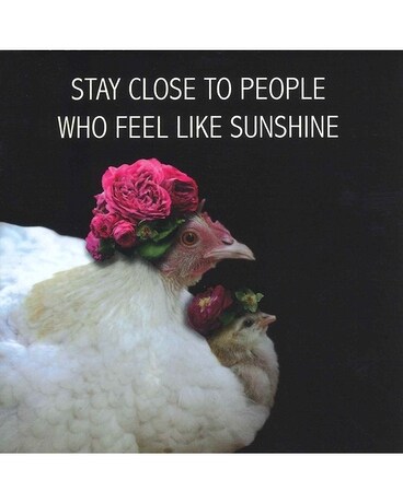 Stay Close to People Who Feel Like Sunshine size, inches height and inches wide.
