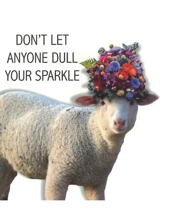 Don't Let Anyone Dull your Sparkle size, inches height and inches wide.