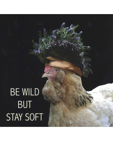 Be Wild but Stay Soft size, inches height and inches wide.