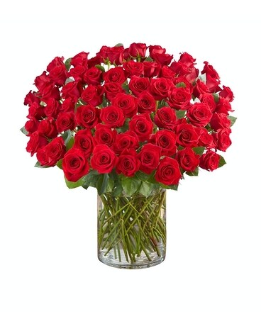 100 Roses size, inches height and inches wide.