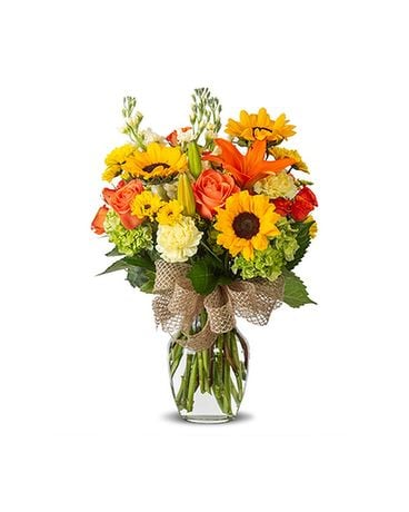 Deluxe size, inches height and inches wide.