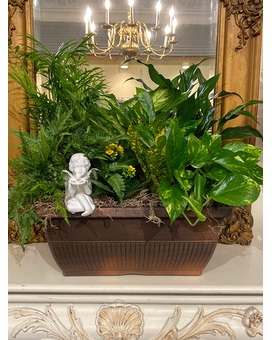 Standard W/Cherub size, inches height and inches wide.