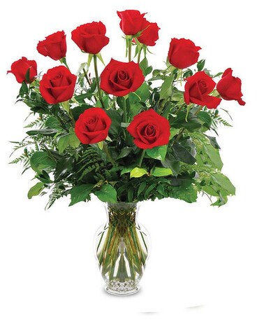 24 Roses size, inches height and inches wide.