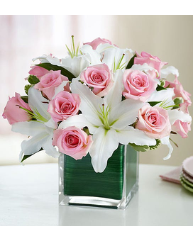 Medium (As Shown) size, inches height and inches wide.