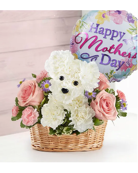 With Balloon size, inches height and inches wide.