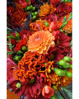 Design 5 size, inches height and inches wide.