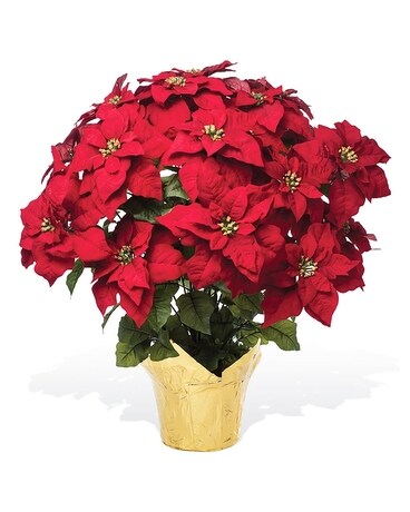Standard size, 25 inches height and 24 inches wide.
