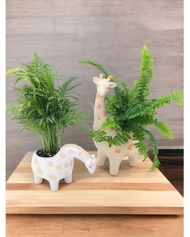 Pair size, inches height and inches wide.