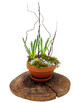 Small Garden size, inches height and inches wide.