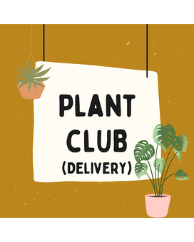 Plant Parent (6 Months) size, inches height and inches wide.