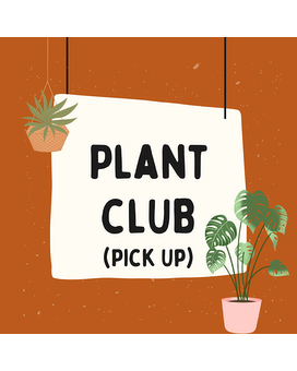 Plant Parent (6 Months) size, inches height and inches wide.