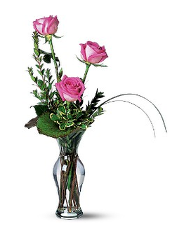 Deluxe size, inches height and inches wide.