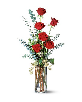 Premium size, inches height and inches wide.