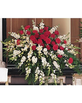 Premium size, inches height and inches wide.