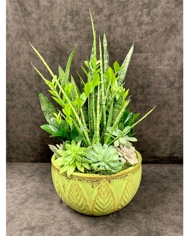As Shown (Sold Out) size, inches height and 8 inches wide.