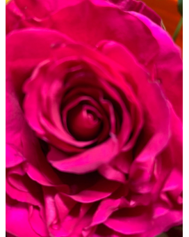 Red size, 24 inches height and 15 inches wide.