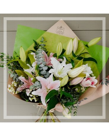Premium Hand Tied size, inches height and inches wide.