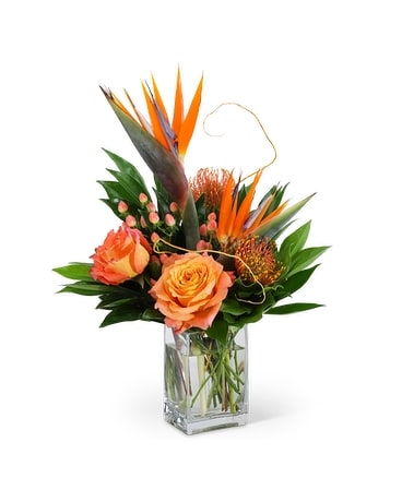 Premium Bali Spirit size, inches height and inches wide.