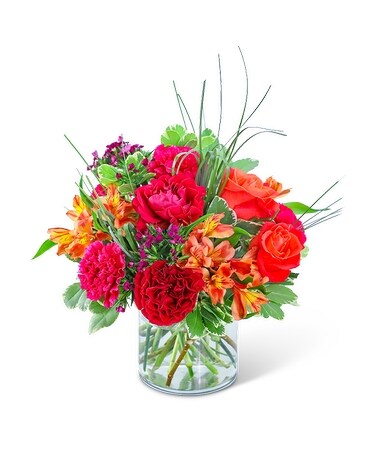 Deluxe Mango Tango size, inches height and inches wide.