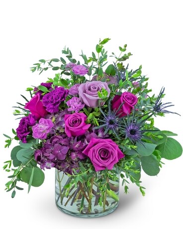Premium Magnificent Magenta size, inches height and inches wide.