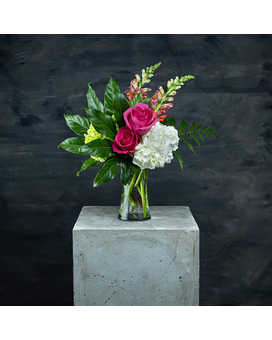 Standard Premium (Pictured) size, inches height and inches wide.