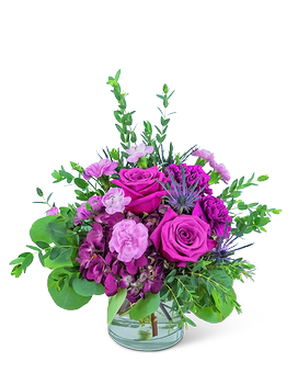 Standard Mod Magenta size, inches height and inches wide.