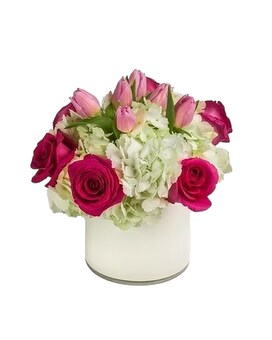 Standard size, 11 inches height and 12 inches wide.