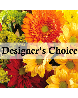 Designer's Choice size, inches height and inches wide.