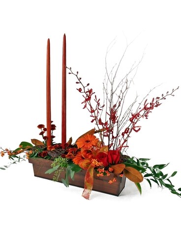 As Shown size, inches height and inches wide.