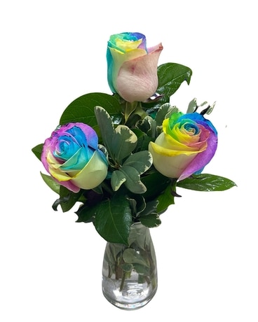 Rainbow size, inches height and inches wide.