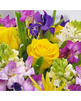 Sensational size, inches height and inches wide.