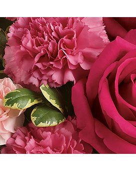 Sensational size, inches height and inches wide.