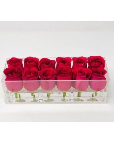 12 Roses size, inches height and inches wide.