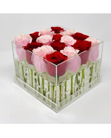 16 Roses size, inches height and inches wide.
