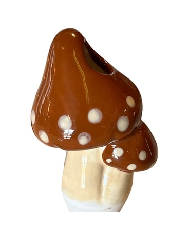 Brown Mushroom size, inches height and inches wide.