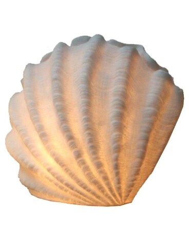 Standard size, inches height and inches wide.