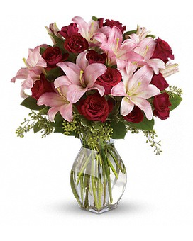 As Shown size, 20 inches height and 17 inches wide.