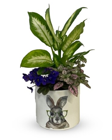Large pot only size, inches height and inches wide.