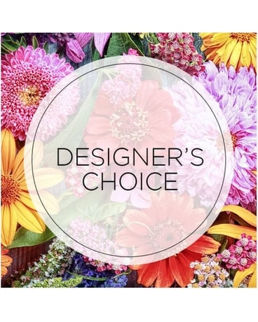 $75 DESIGNERS CHOICE size, inches height and inches wide.