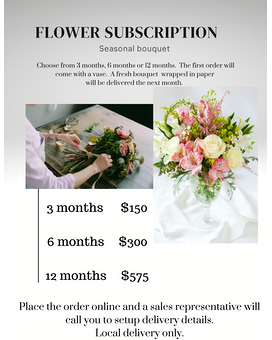 6 month size, inches height and inches wide.