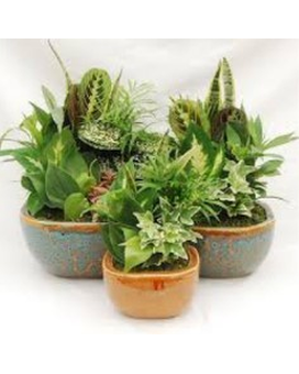 MEDIUM 8" size, inches height and inches wide.