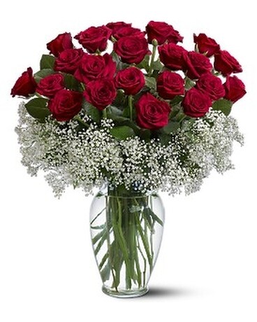 As Shown size, inches height and inches wide.