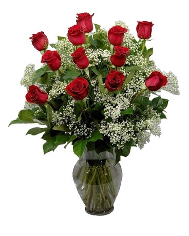 3 Dozen RED size, inches height and inches wide.