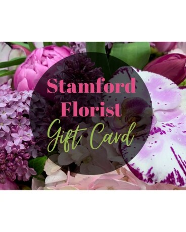 Platinum Gift Card size, inches height and inches wide.