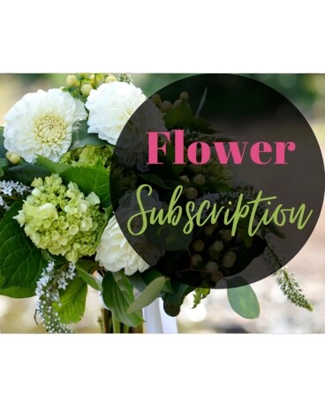 Lovely and Luxe size, inches height and inches wide.