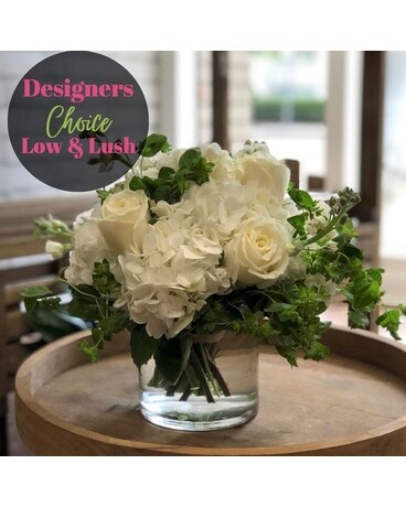 Low and Modern Styling size, inches height and inches wide.
